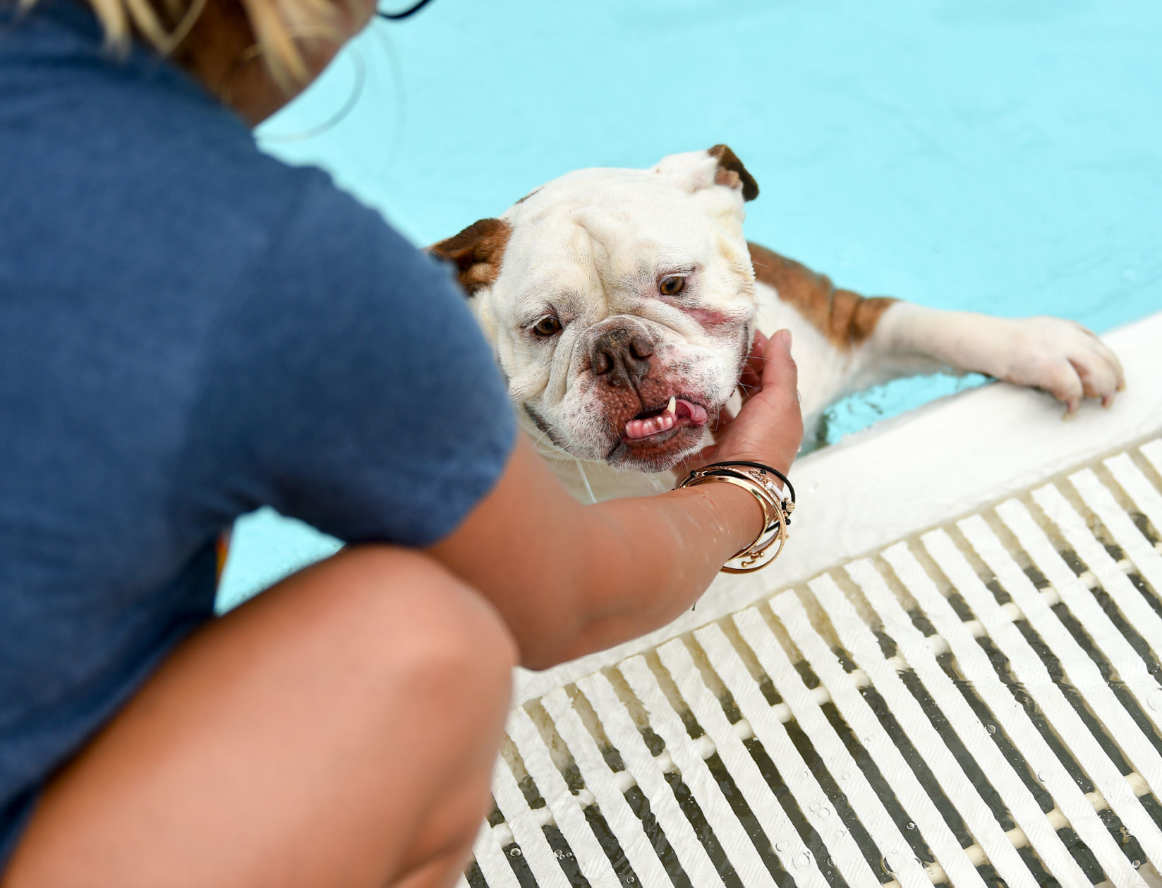 081919-mda-nws-furfriends-024a.JPG